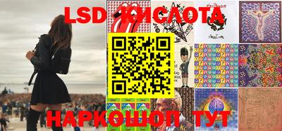 прущие грибы Новодвинск