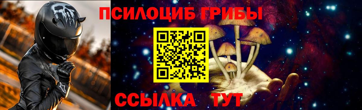 Галлюциногенные грибы Psilocybine cubensis  Вход с VPN  купить   Строитель 